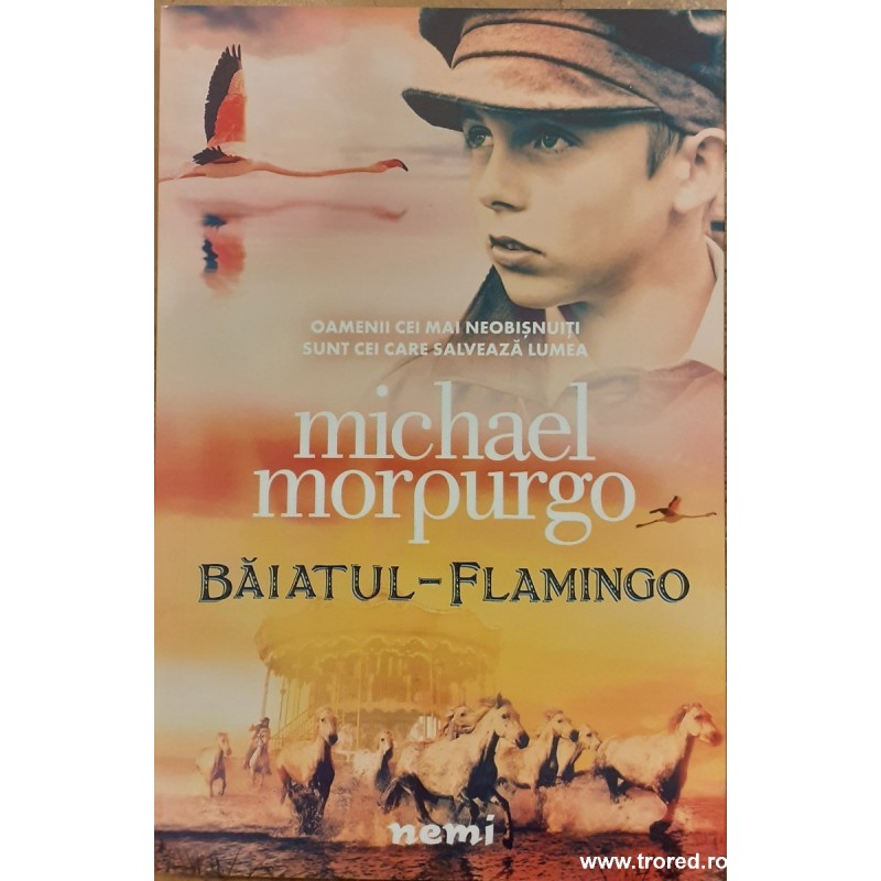 Baiatul Flamingo