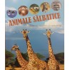 Animale salbatice Ciudatenii, mistere si curiozitati