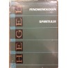 Fenomenologia spiritului