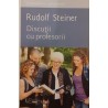 Discutii cu profesorii