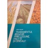 Tratamentul bolilor prin legume, fructe si cereale