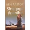 Sinagoga tiganilor