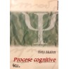Procese cognitive