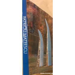 Patriciu Mateescu Monografie Album de arta