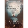 O fereastra intunecata volumul 1 Seria Regele Pastor