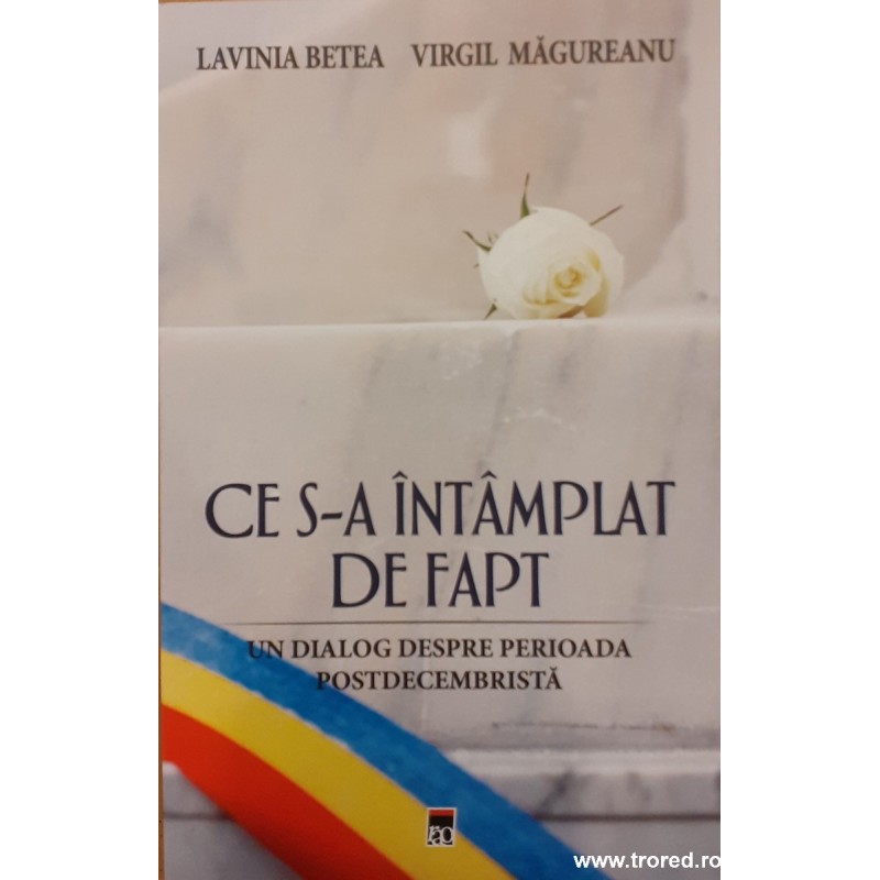 Ce s-a intamplat de fapt Un dialog despre perioada postdecembrista