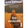 Ora nevazuta