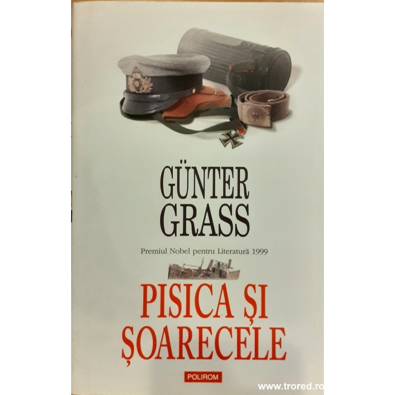 Pisica si soarecele
