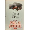 Pisica si soarecele
