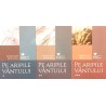Pe aripile vantului 3 volume Cele mai frumoase romane de dragoste