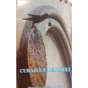 Curajul credintei