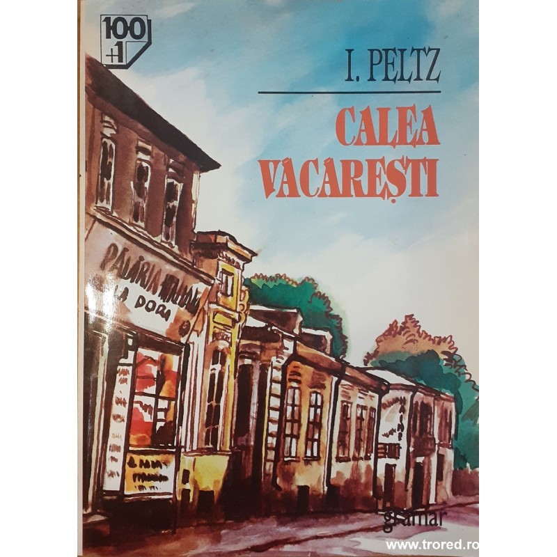 Calea Vacaresti