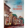 Calea Vacaresti