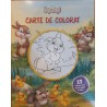 Iepurasi Carte de colorat