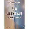 Sub un cer alb Natura viitorului