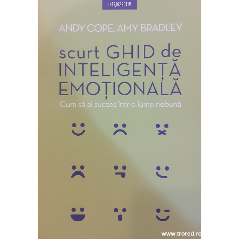Scurt ghid de inteligenta emotionala