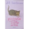 Pisicuta care voia sa ajunga acasa