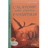 Calatorie spre centrul pamantului