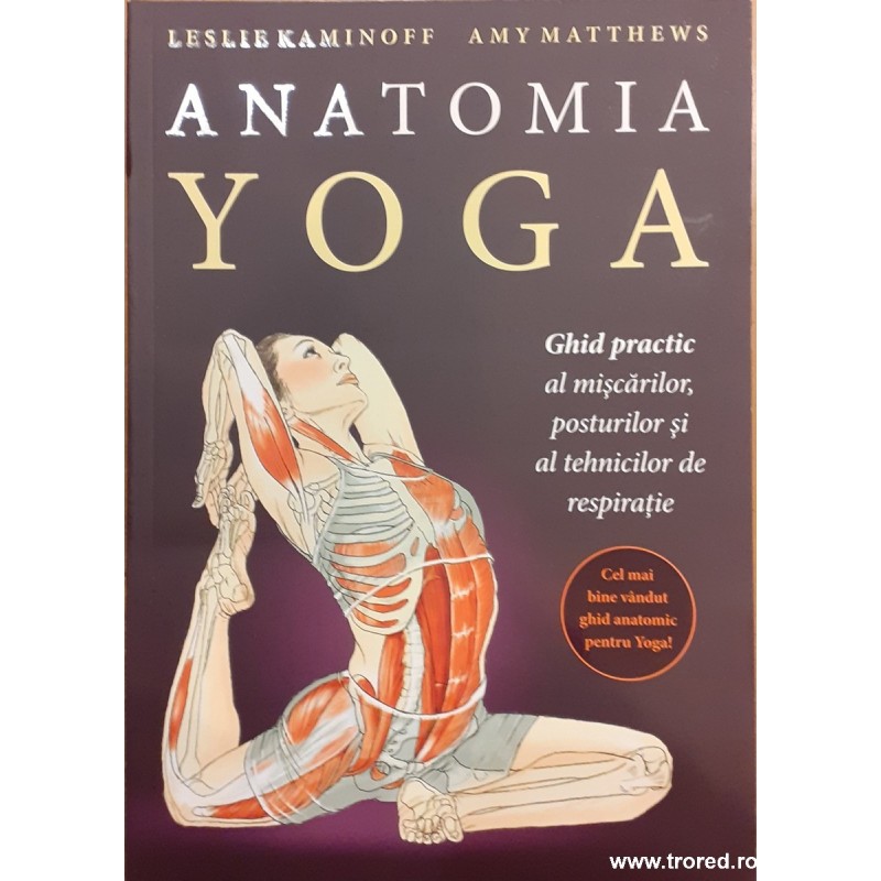 Anatomia yoga