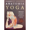 Anatomia yoga