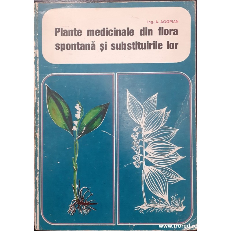 Plante medicinale din flora spontana si substituirile lor