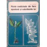 Plante medicinale din flora spontana si substituirile lor