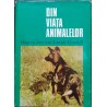 Din viata animalelor