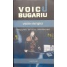 Vocile vikingilor