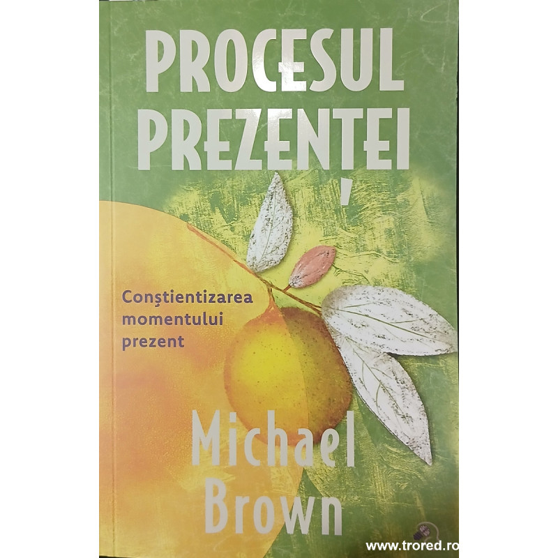 Procesul prezentei Constientizarea momentului prezent
