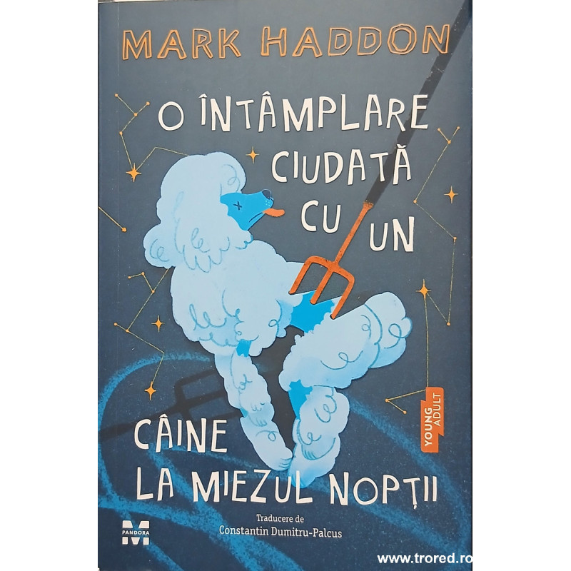 O intamplare ciudata cu un caine la miezul noptii