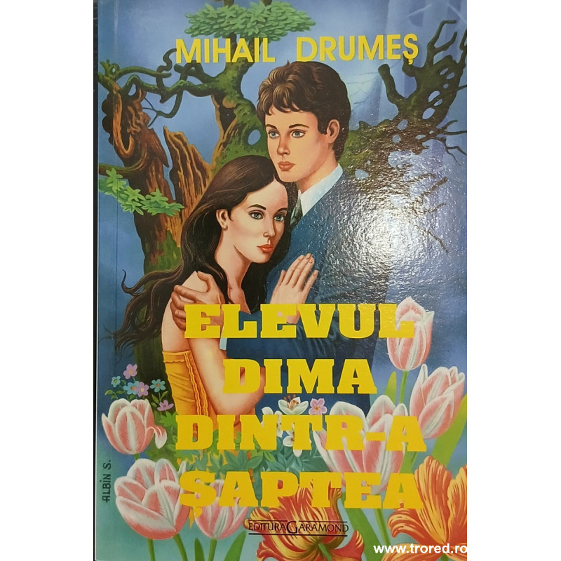 Elevul Dima dintr-a saptea