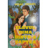 Elevul Dima dintr-a saptea