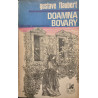 Doamna Bovary