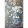 Cavalerul si molia volumul 1 Seria Stonewater