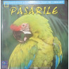 Pasarile National Geographic Nature