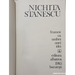 Frumos ca umbra unei idei