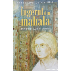 Ingerul din mahala Minunea savarsirii binelui