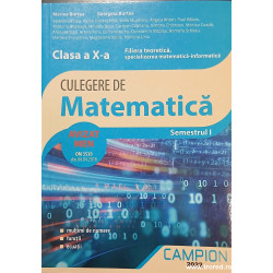 Culegere de matematica Clasa a X-a Filiera teoretica Semestrul I