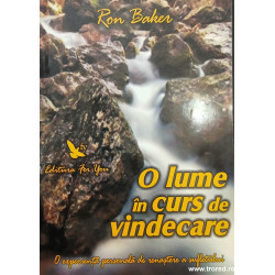 O lume in curs de vindecare