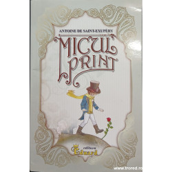 Micul Print