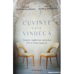Cuvinte care vindeca Despre regasirea sensului intr-o lume haotica