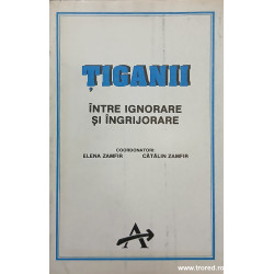 Tiganii intre ignorare si ingrijorare