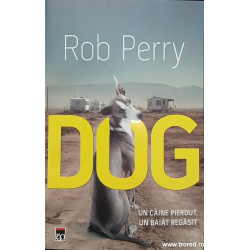 Dog Un caine pierdut, un baiat regasit