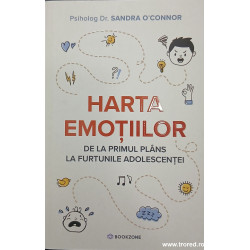Harta emotiilor De la primul plans la furtunle adolescentei
