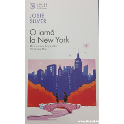 O iarna la New York