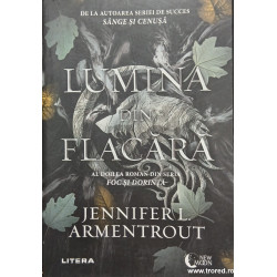 Lumina din flacara Seria Foc si dorinta 2