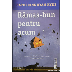 Ramas bun pentru acum