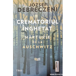 Crematoriul inghetat Marturie de la Auschwitz