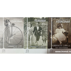 Pioase amintiri / Arhivele Nordului / Ce? Eternitatea  Seria Labirintul lumii