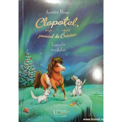 Clopotel, poneiul de Craciun Luminile nordului